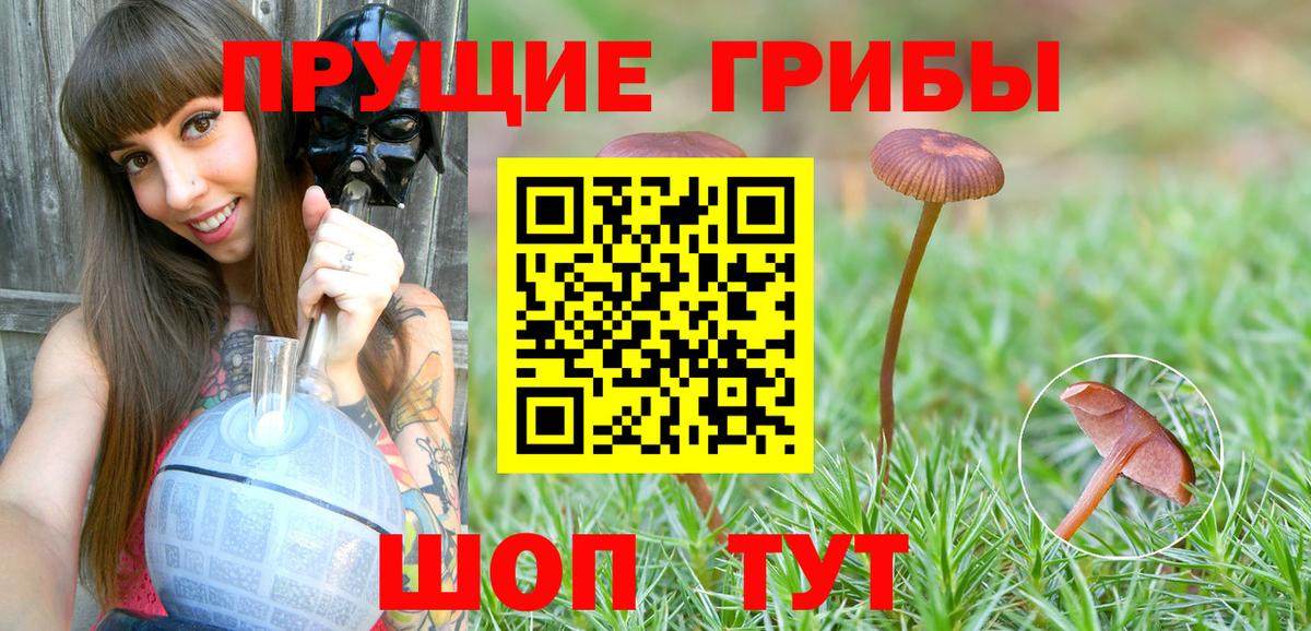 Псилоцибиновые грибы мицелий  Псилоцибиновые грибы Psilocybe  Мурманск  Вход с VPN 